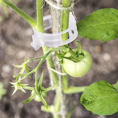 PlantGuard™ Plantensteunen – Zachte Clips voor Gezonde Plantengroei