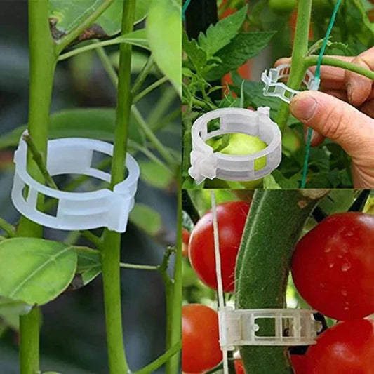 PlantGuard™ – Eenvoudige plantensteunen voor sterkere en gezondere planten [50% Korting]