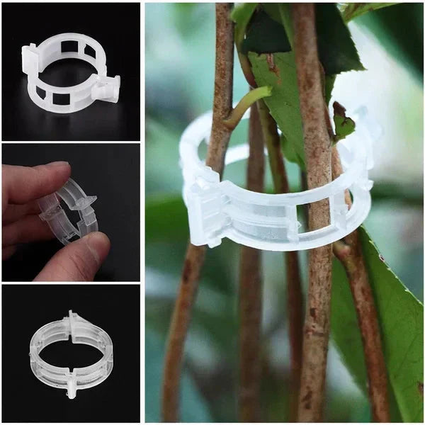 PlantGuard™ Plantensteunen – Zachte Clips voor Gezonde Plantengroei