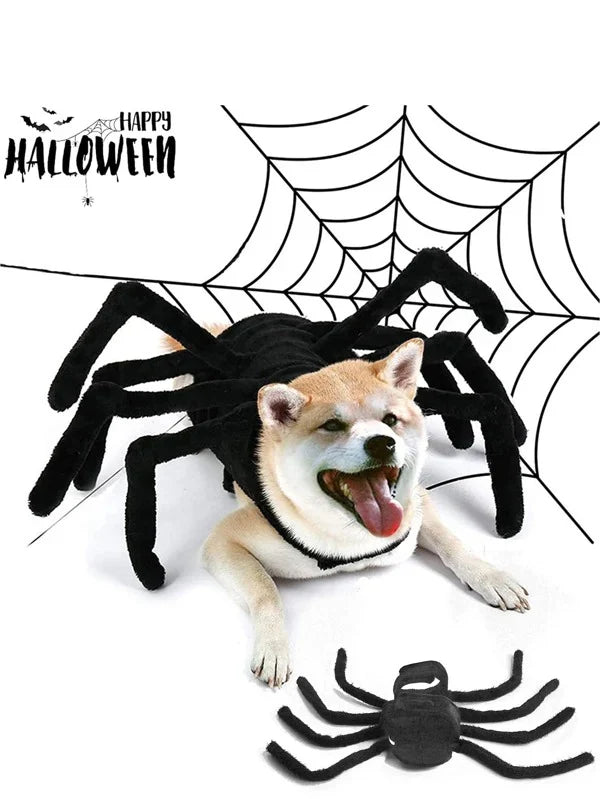 Halloween Hondenkostuum Spin met Verstelbare Klittenband
