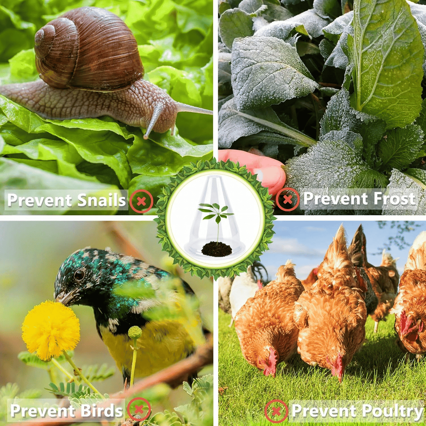 PlantSheild™ - Tuinkas planthoezen [5 + 5 Gratis]