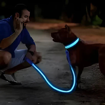 GlowPaw™ – Oplaadbare LED-hondenhalsband voor veilige avondwandelingen