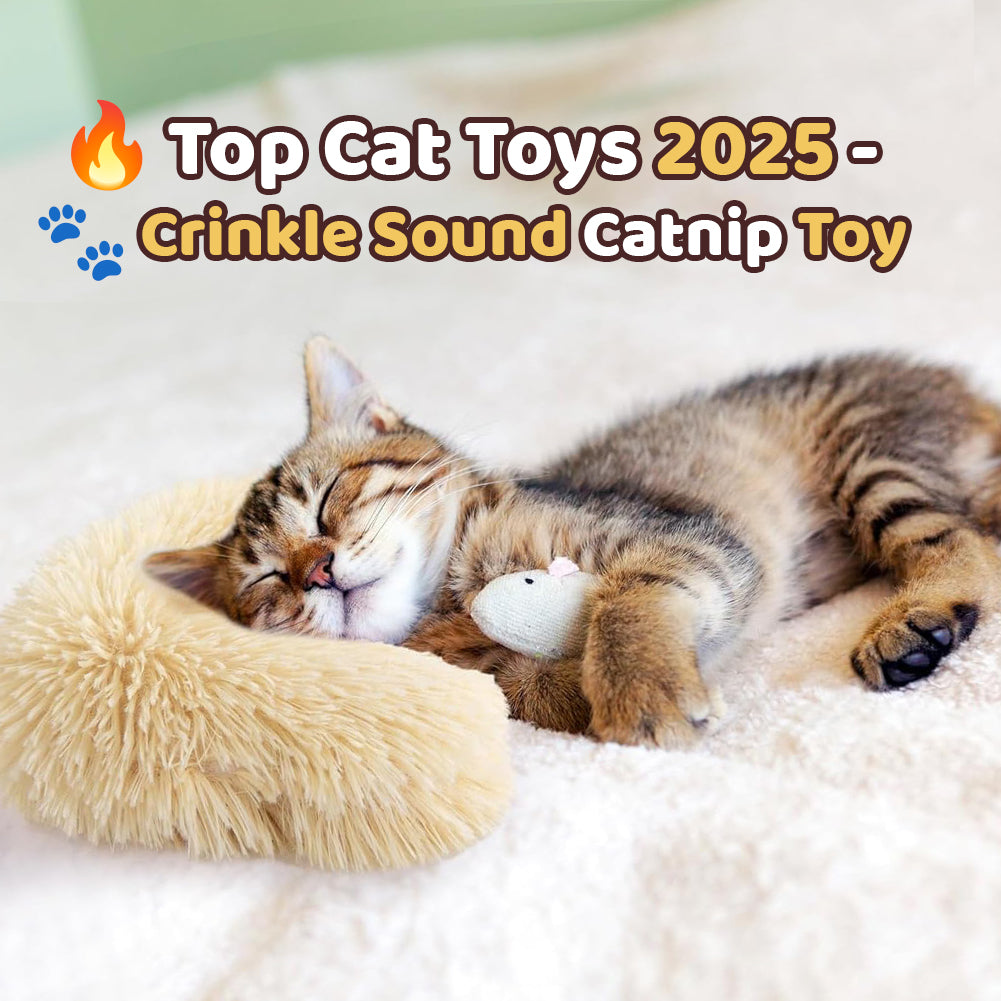FelineFlick™ – Interactief staartspeeltje [50% Korting]