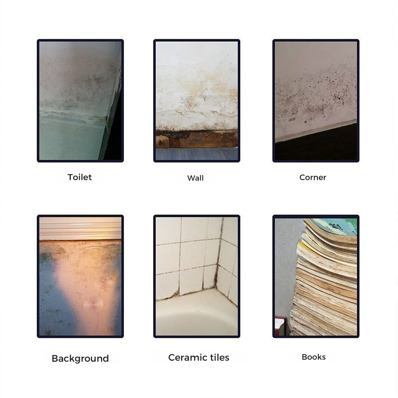 1 + 1 Gratis | MoldSpray™ -  Antischimmel reinigingsmousse [Laatste dag korting]