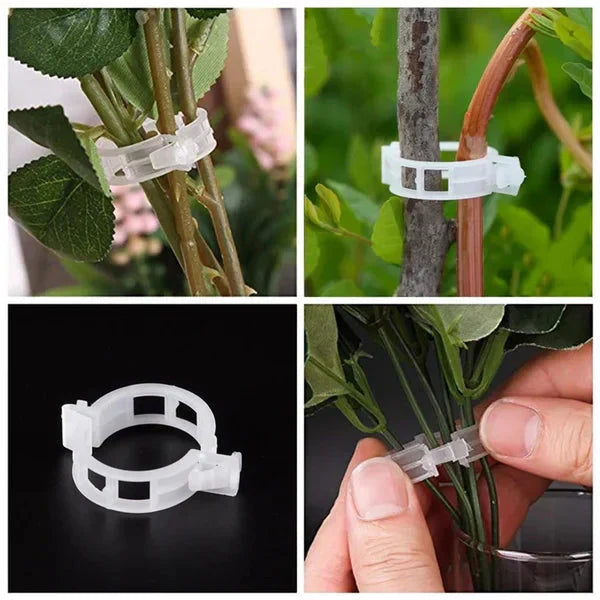 PlantGuard™ Plantensteunen – Zachte Clips voor Gezonde Plantengroei