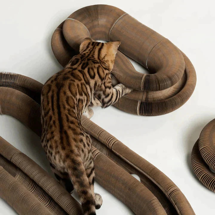 PetStory™ Innofatief Kattenspeeltje | VANDAAG 50% KORTING