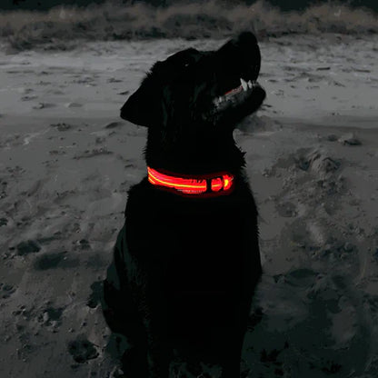 GlowPaw™ – Oplaadbare LED-hondenhalsband voor veilige avondwandelingen