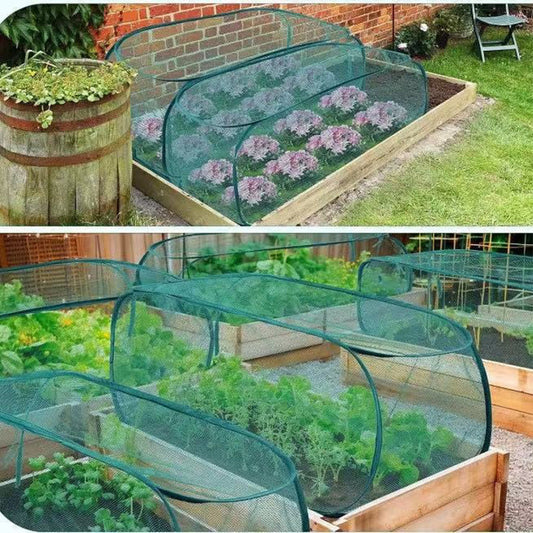 PlantProtect – Onmiddellijke plantenbescherming tegen ongedierte [50% Korting]