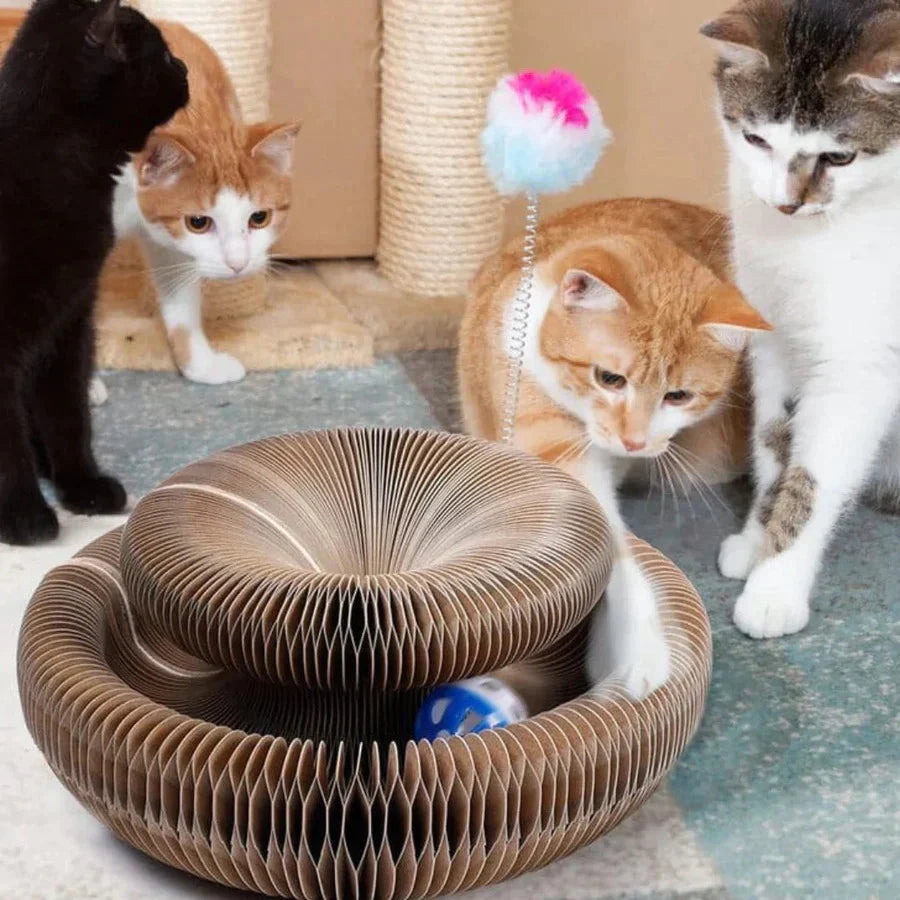 PetStory™ Innofatief Kattenspeeltje | VANDAAG 50% KORTING