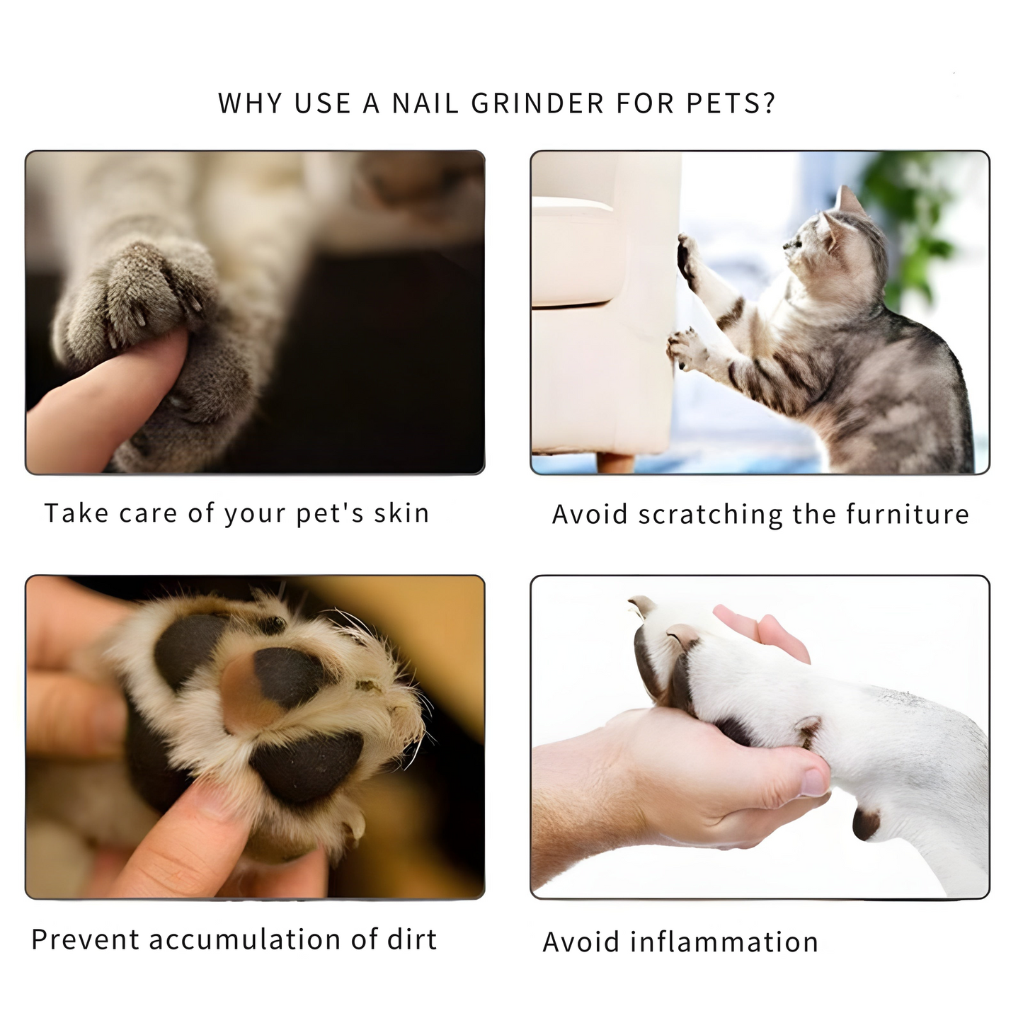 ClawCare™ – Elektrische Klauwslijper voor Honden & Katten | Veilig & Stil