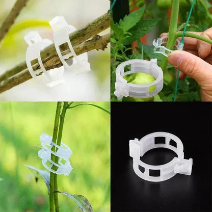 PlantGuard™ Plantensteunen – Zachte Clips voor Gezonde Plantengroei