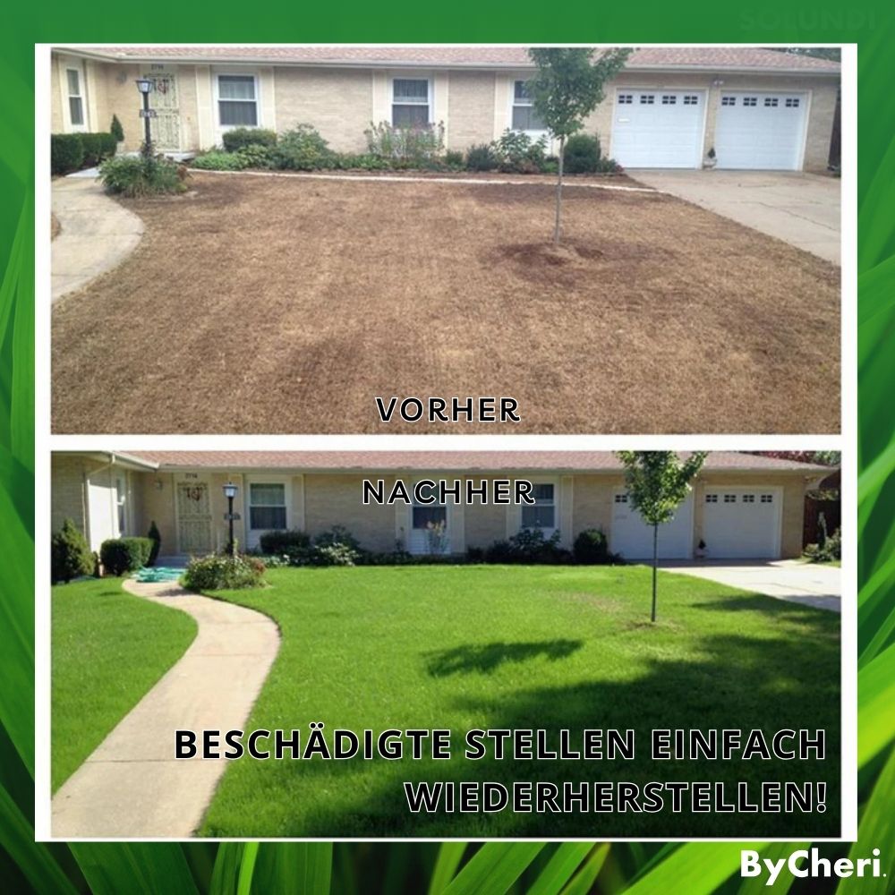 InstaGrass™ – Onderhoudsvriendelijk, weelderig en vol gazon voor je tuin! [1 + 1 Gratis]