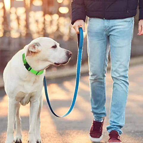 GlowPaw™ – Oplaadbare LED-hondenhalsband voor veilige avondwandelingen
