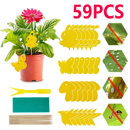 PestiGuard – Chemievrije plantenvalletjes voor gezonde planten [20 + 20 Gratis]