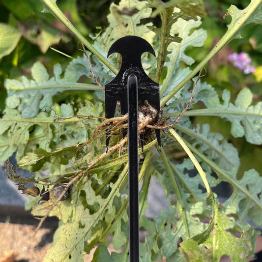 WeedRack™ - Onkruidverwijderaar met 4 tanden [50% Korting]