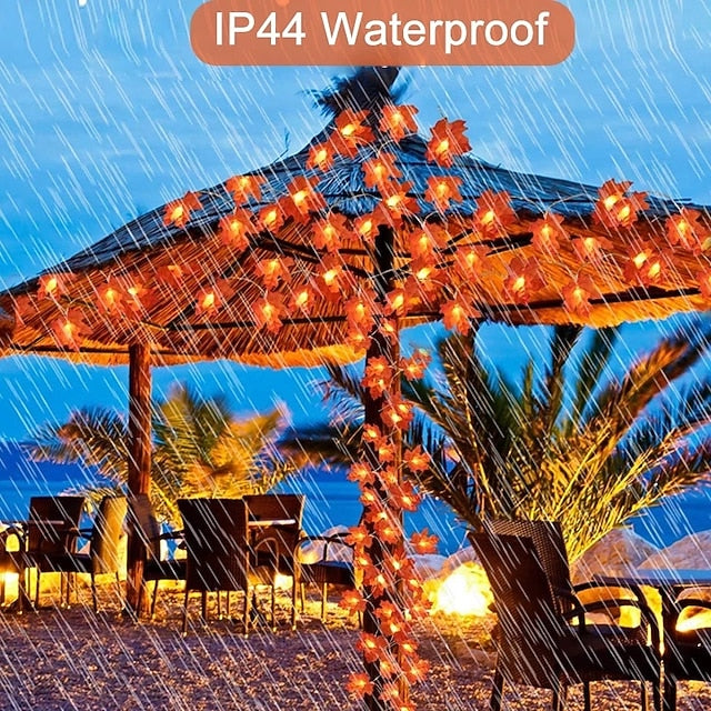 AutumnLed™ – Warmwit licht, werkt op USB & batterijen, perfecte herfstdecoratie voor binnen & buiten [50% Korting]