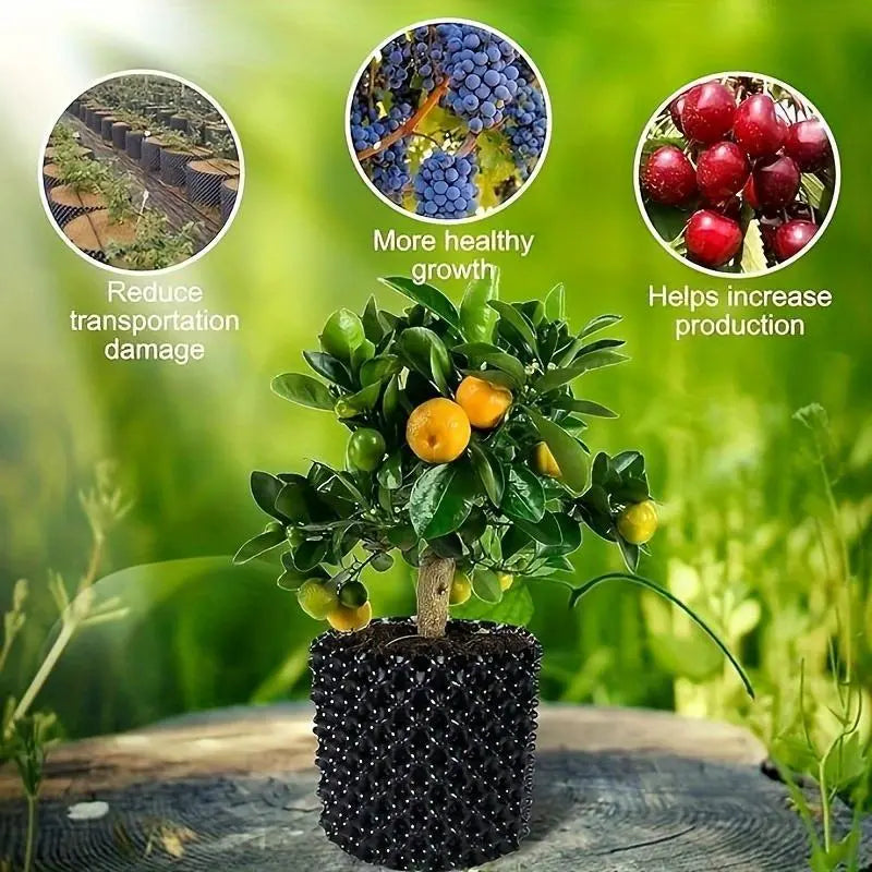 RootGuide – Voor gezonde wortels en sterkere plantengroei [50% korting]