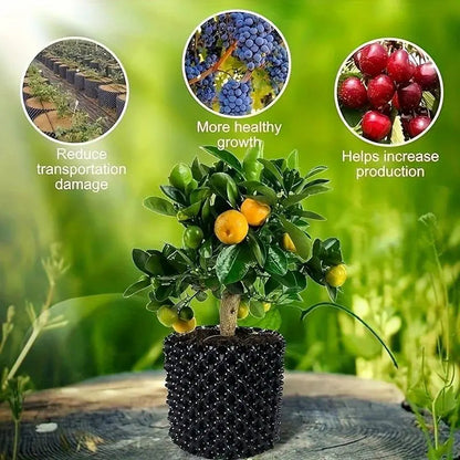 RootGuide – Voor gezonde wortels en sterkere plantengroei [50% korting]