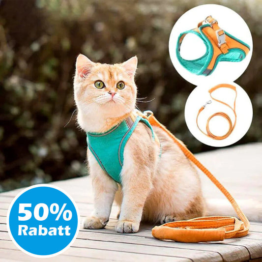 50% Korting | CatBelt™ Comfortabele Kattenharnas [Laatste Dag Korting]