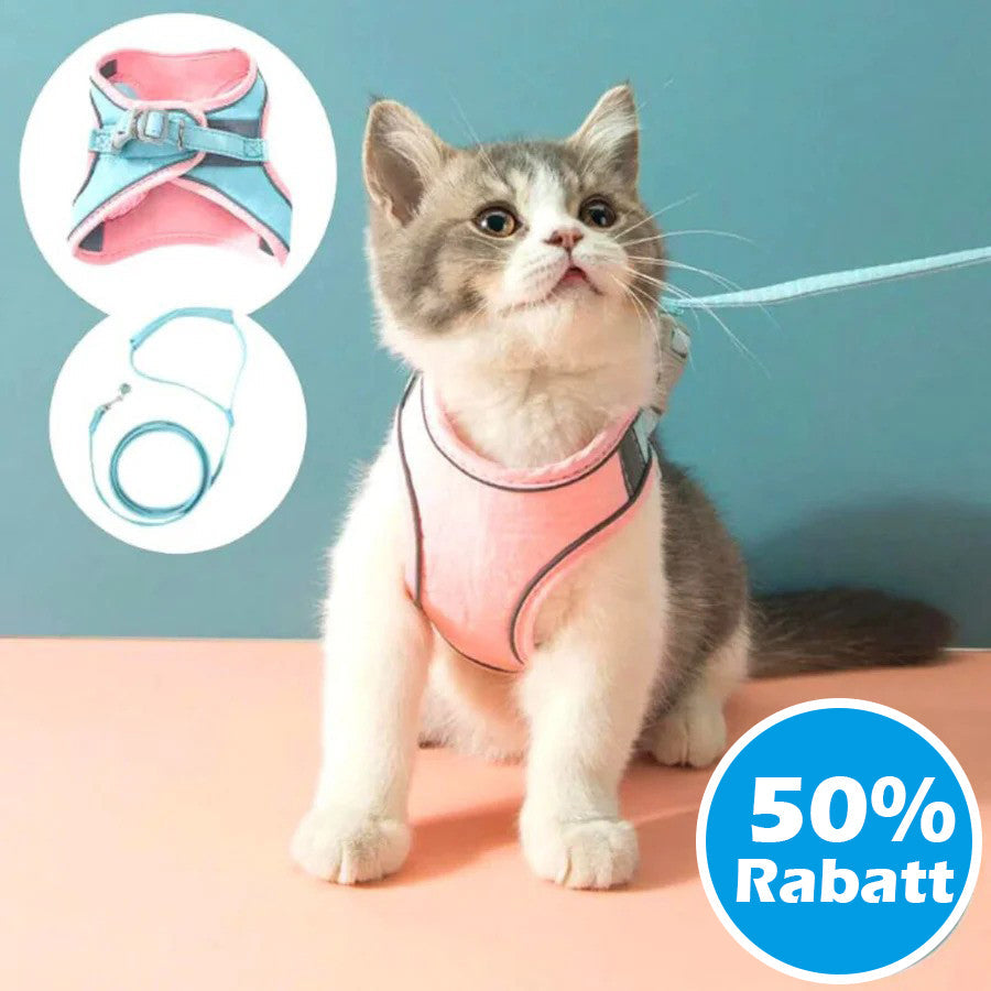 CatHarnes™ Comfortabel kattentuigje voor veilige wandelingen [50% korting]