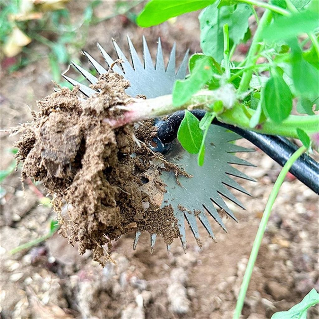 LeichtUnkraut™ - Moeiteloos onkruid wieden [50% Korting]