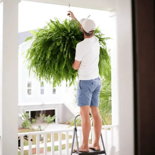 GreenGlow™ Kunstmatige Bostonvaren – Realistische Nepplant voor Binnen & Buiten