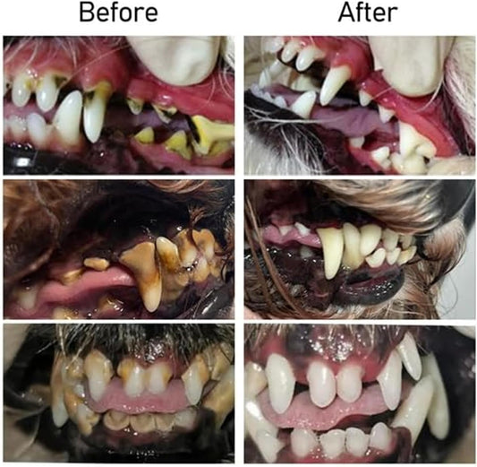OralGlow™ – De ultieme oplossing voor gezonde tanden & frisse adem van jouw huisdier [1 + 1 Gratis]