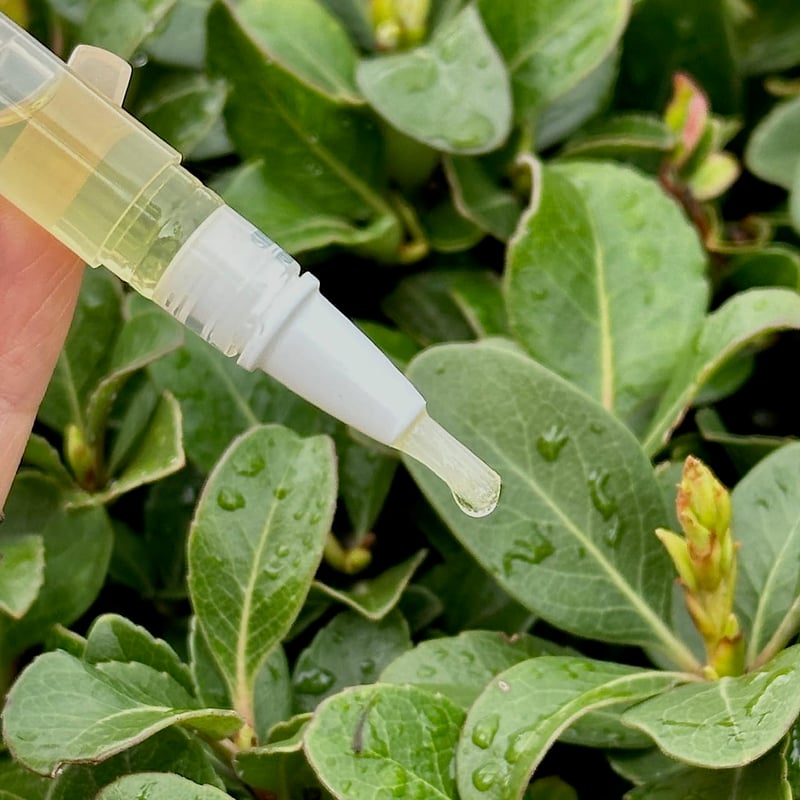 NailCare™ – Vitamine E & proteïne nagelverzorging voor sterke & beschermde nagels [50% Korting]