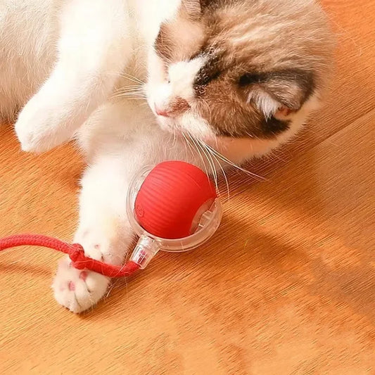 PawPlay™ – Interactieve katten-speelbal voor urenlang speelplezier [50% Korting]