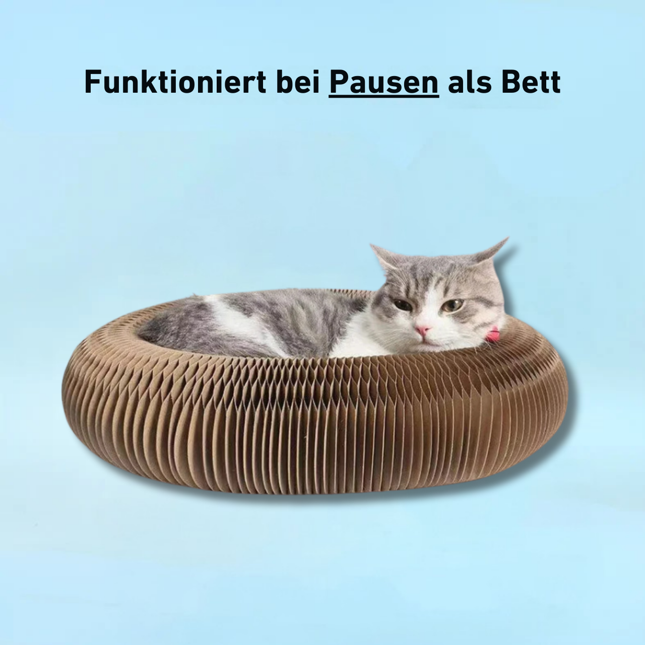 PouncePlay™ – Interactief krabspel met belletje voor actieve kattenmomenten [50% Korting]