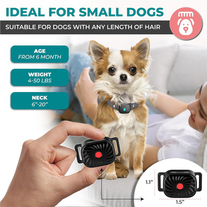 Antiblafhalsband voor kleine honden met geluid en vibratie