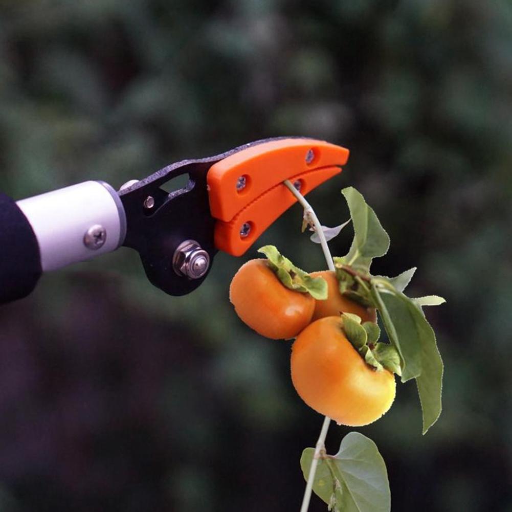 BranchMaster – Verstelbare takkensnoeier voor moeiteloos snoeien van hoge takken [50% Korting]
