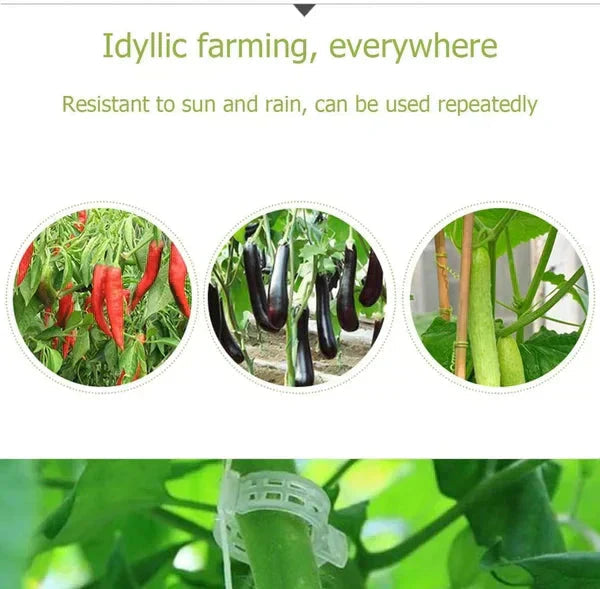 PlantGuard™ Plantensteunen – Zachte Clips voor Gezonde Plantengroei