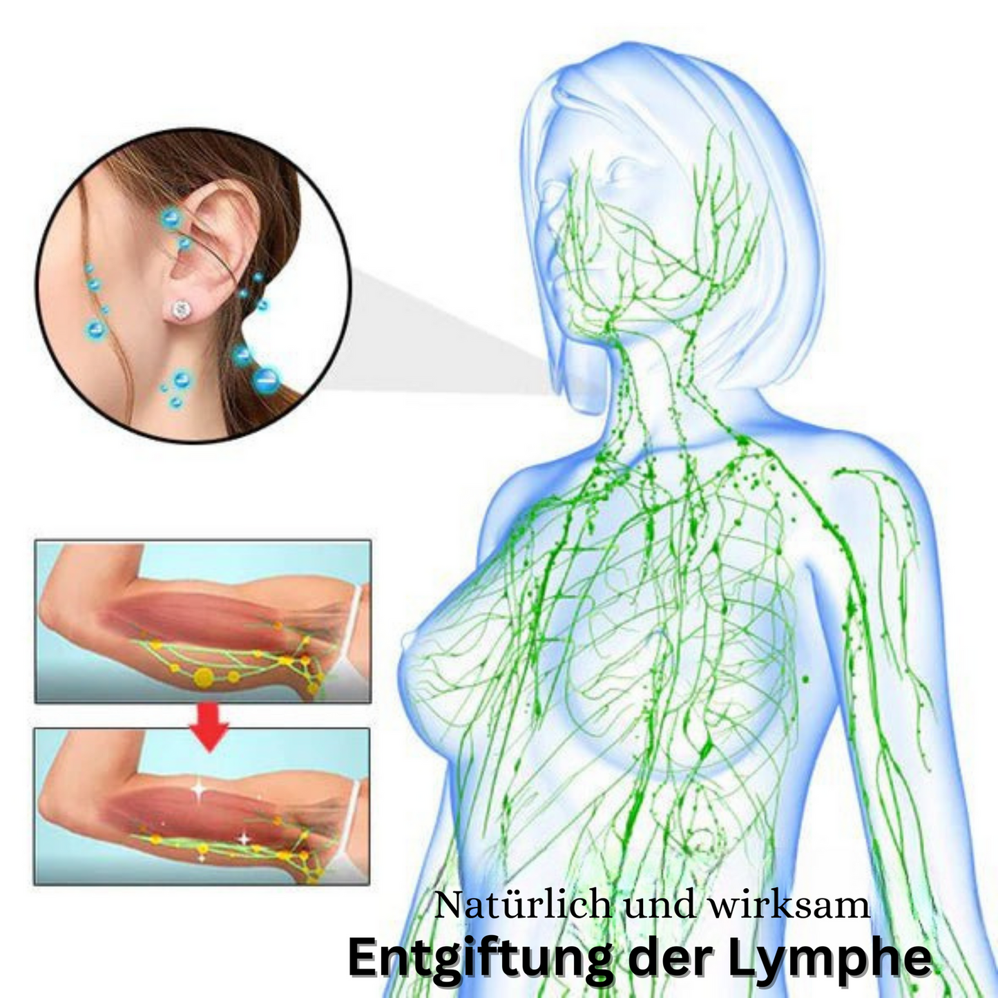 Acurani – Magnetische Therapie-Oorbellen voor Natuurlijke Lymfedrainage [1 + 1 Gratis]