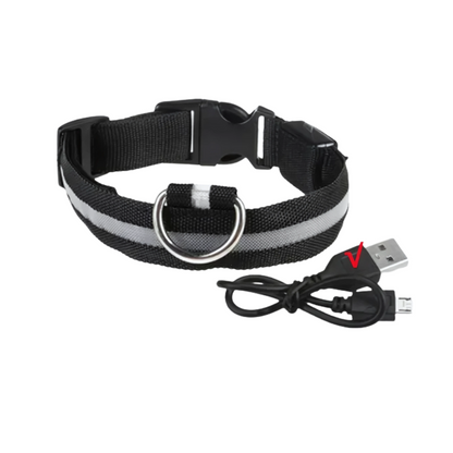 GlowPaw™ – Oplaadbare LED-hondenhalsband voor veilige avondwandelingen