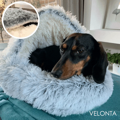 50% Korting | PetCave™ Comfortabele Mat voor Huisdieren [Laatste dag korting]