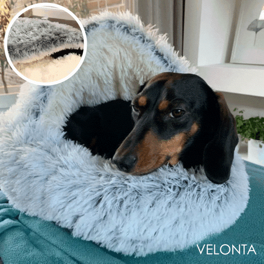 50% Korting | PetCave™ Comfortabele Mat voor Huisdieren [Laatste dag korting]