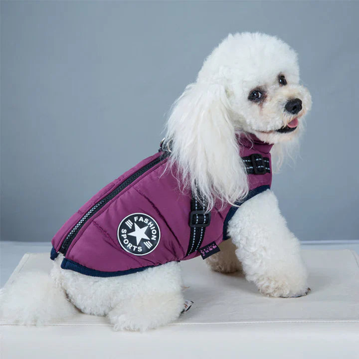 50% Korting | PawJacket™ – Waterdicht winterjack met geïntegreerd harnas [Laatste dag korting]