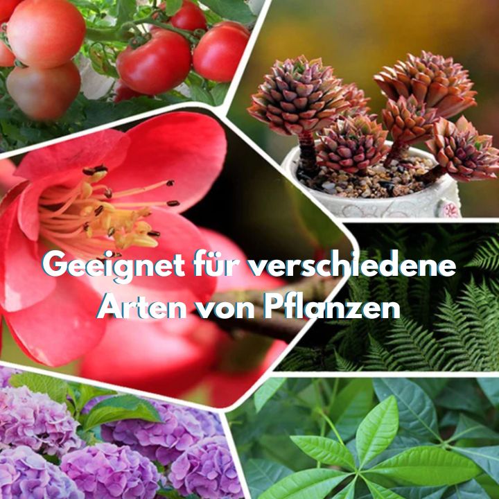 1 + 1 Gratis | Organic™ -  Planten weer tot leven brengen [Laatste dag korting]