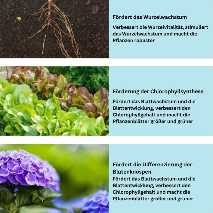 1 + 1 Gratis | Organic™ -  Planten weer tot leven brengen [Laatste dag korting]