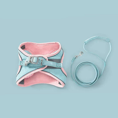 50% Korting | CatBelt™ Comfortabele Kattenharnas [Laatste Dag Korting]
