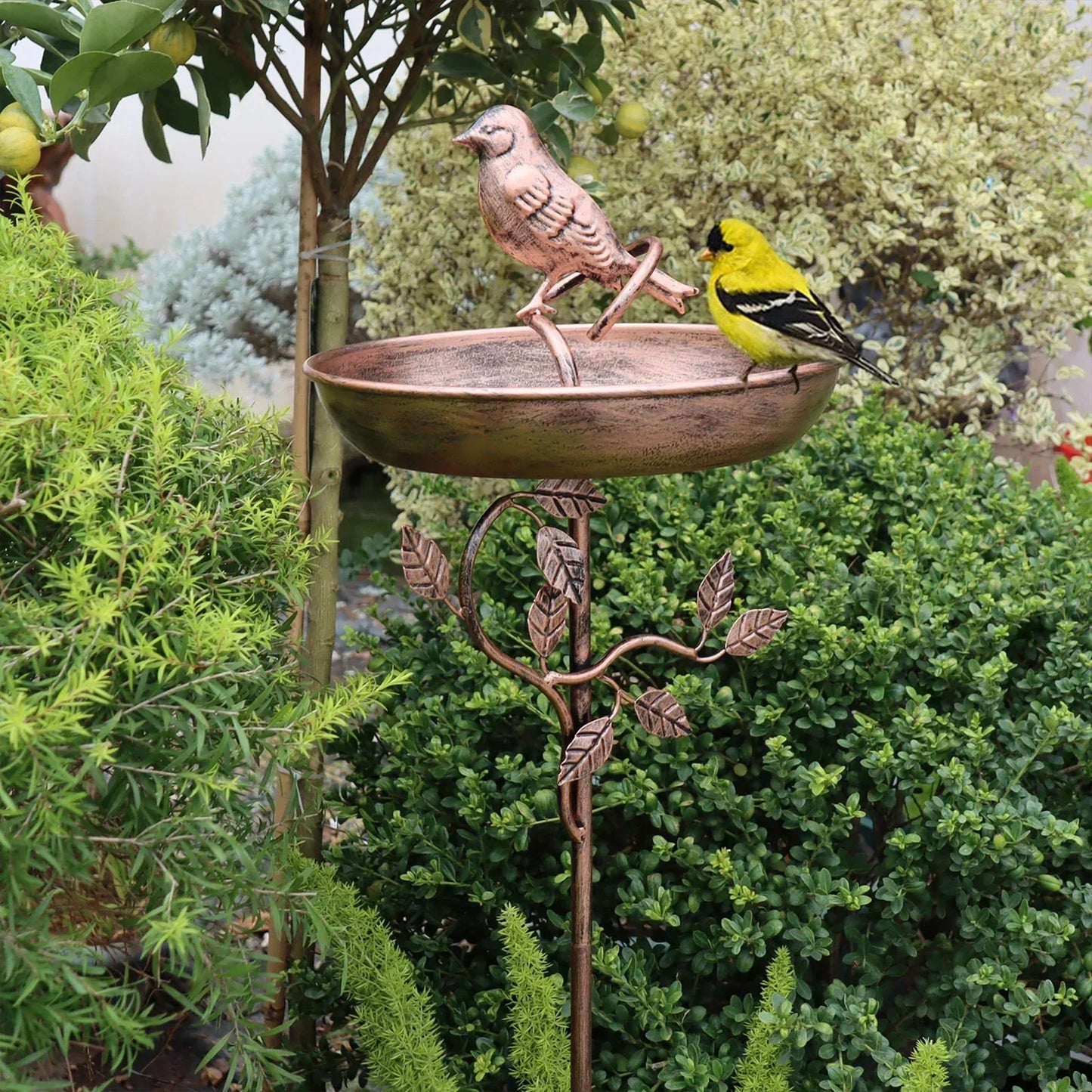 Vogelbad met grondpen – decoratieve tuinschaal voor wilde vogels