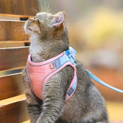 50% Korting | CatBelt™ Comfortabele Kattenharnas [Laatste Dag Korting]