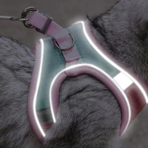 50% Korting | CatBelt™ Comfortabele Kattenharnas [Laatste Dag Korting]