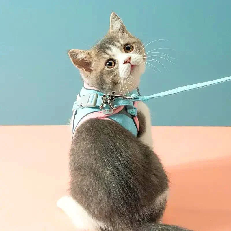50% Korting | CatBelt™ Comfortabele Kattenharnas [Laatste Dag Korting]