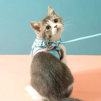 50% Korting | CatBelt™ Comfortabele Kattenharnas [Laatste Dag Korting]
