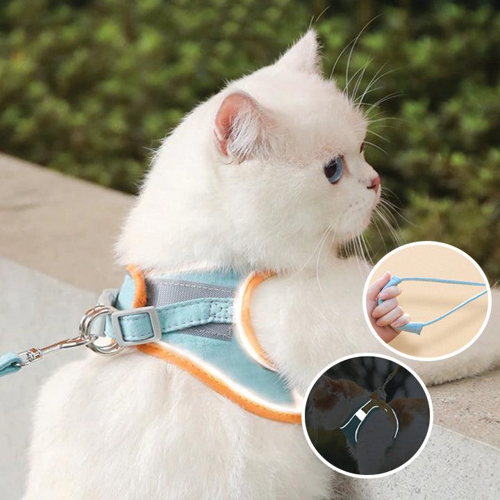 50% Korting | CatBelt™ Comfortabele Kattenharnas [Laatste Dag Korting]