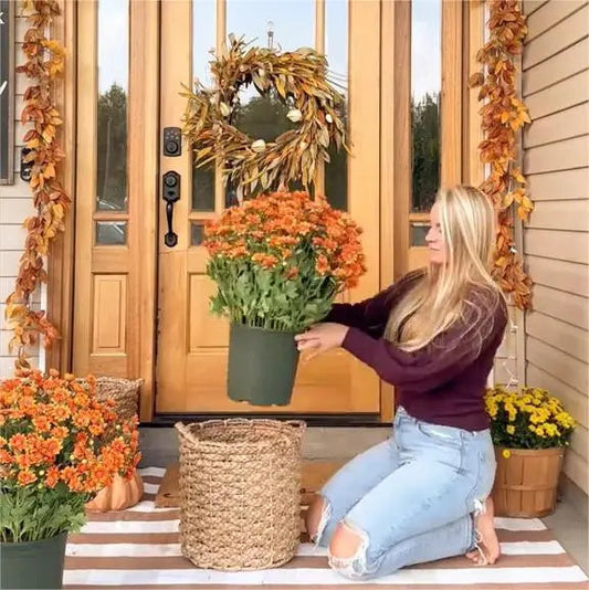 AutumnGlow™ – Brengt herfstkleuren en warmte in je huis (5 bundels) [50% Korting]