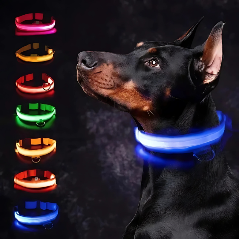 GlowPaw™ – Oplaadbare LED-hondenhalsband voor veilige avondwandelingen