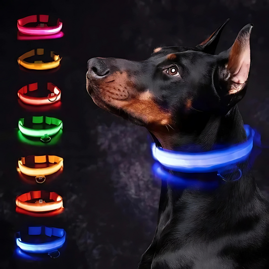 GlowPaw™ – Lichtgevende LED-hondenhalsband voor veilige avondwandelingen [50% Korting]